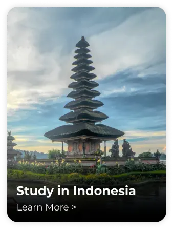 Study-in-Indonesia.webp