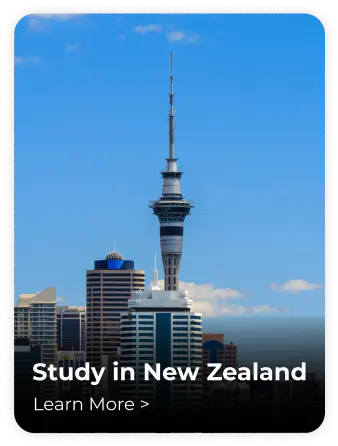 Study-in-New-Zealand.webp